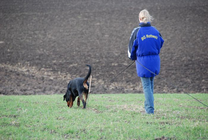 Zoya vom Türnleberg